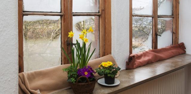 Tipps gegen beschlagene Fensterscheiben von innen: So vermeiden Sie Schimmelbildung Tipps gegen beschlagene Fensterscheiben von innen: So vermeiden Sie Schimmelbildung
