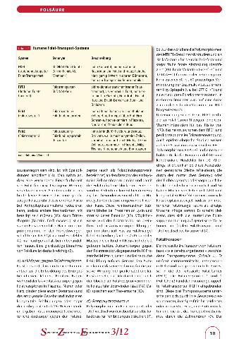 Der Einfluss von Folat auf die Entwicklung des Neuralrohrs während der Schwangerschaft Der Einfluss von Folat auf die Entwicklung des Neuralrohrs während der Schwangerschaft