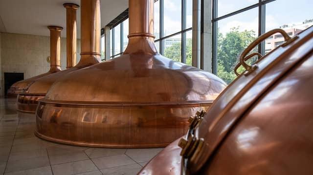 Brauereien leiden unter Corona-Maßnahmen - Hasseröder mit Mega-Rabatten bei Rewe, Kaufland und Co. Brauereien leiden unter Corona-Maßnahmen - Hasseröder mit Mega-Rabatten bei Rewe, Kaufland und Co.