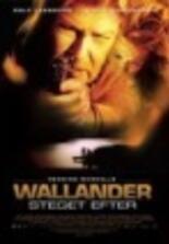 Gründe für den Ausstieg von Jakob Cedergren bei "Mittsommermord" Gründe für den Ausstieg von Jakob Cedergren bei "Mittsommermord"