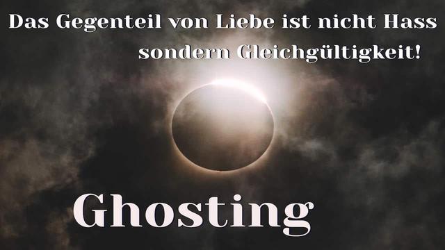 11 ehrliche Gründe 11 ehrliche Gründe