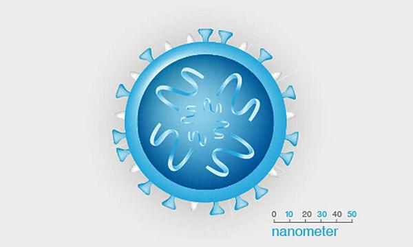 Keine Energiegewinnung oder Proteinsynthese: Das macht Viren zu Nicht-Lebewesen Keine Energiegewinnung oder Proteinsynthese: Das macht Viren zu Nicht-Lebewesen