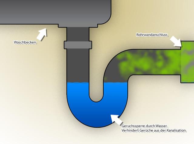 Ursachen und Lösungen: Warum stinkt der Abfluss im Bad?