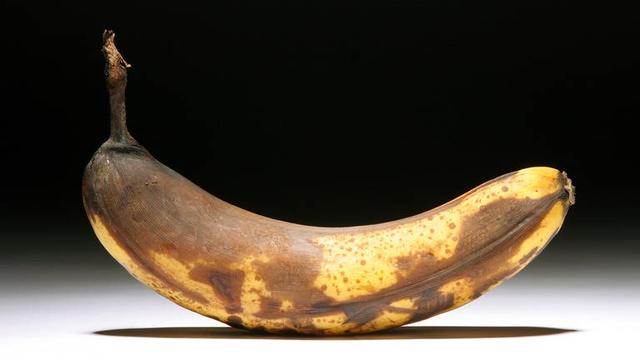 Die Entwicklung der Banane: Warum sie während des Wachstums krumm wird Die Entwicklung der Banane: Warum sie während des Wachstums krumm wird