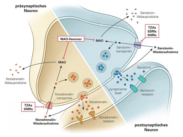 Antidepressiva: Effektivität bei nicht depressiven Personen Antidepressiva: Effektivität bei nicht depressiven Personen