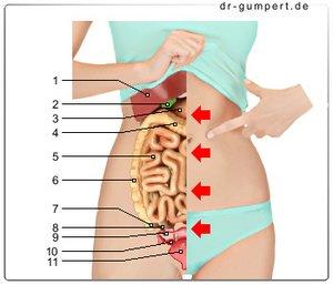 Stiche im Bauch: Ursachen, Symptome und Behandlungsmöglichkeiten. Stiche im Bauch: Ursachen, Symptome und Behandlungsmöglichkeiten.