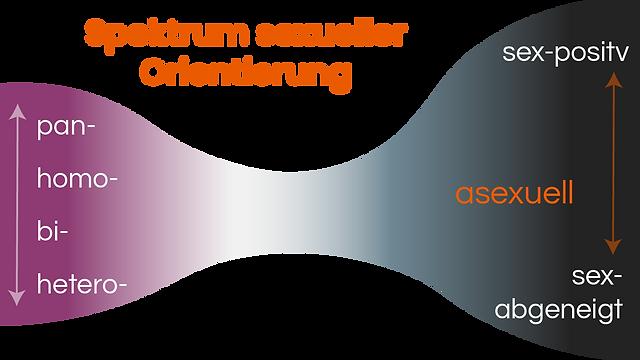 Asexuell sein: Geschlechtervielfalt und romantische Orientierungen Asexuell sein: Geschlechtervielfalt und romantische Orientierungen