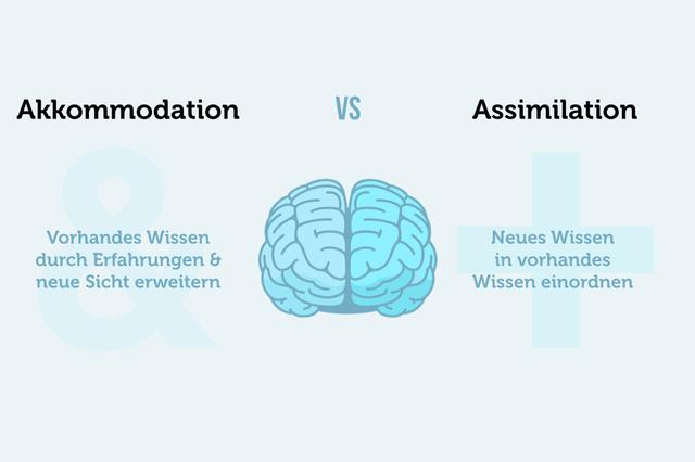 Die Rolle der Assimilation in der Gesellschaft Die Rolle der Assimilation in der Gesellschaft