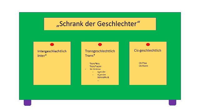 2. Die binäre Geschlechtsnorm in der westlichen Gesellschaft 2. Die binäre Geschlechtsnorm in der westlichen Gesellschaft