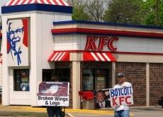 Die Geschichte des Boykotts: Von Charles Boycott bis heute