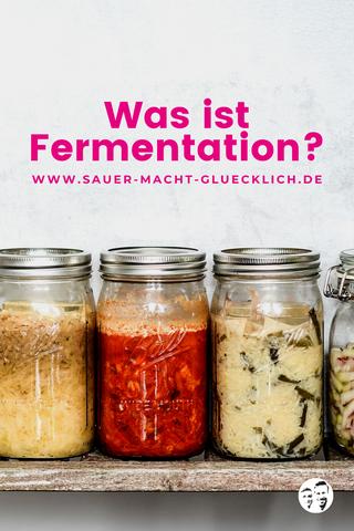 Warum ist die Fermentation eine wertvolle Ergänzung unserer Ernährung?