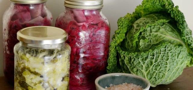 Fermentation: Die Kunst des Haltbarmachens und Veredelns von Lebensmitteln