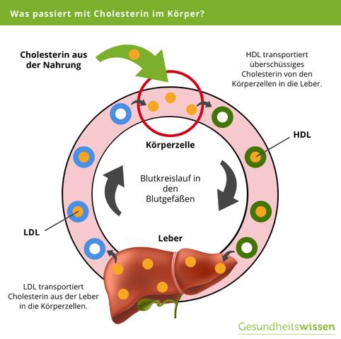 Was heißt  Was heißt