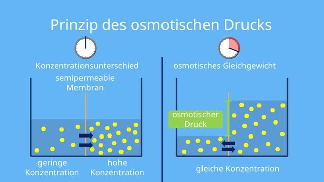 Der osmotische Druck: Was isotonische Getränke auszeichnet