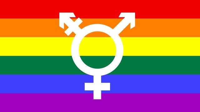 Geschlechtsidentität erklärt: Was ist eine Transfrau? Geschlechtsidentität erklärt: Was ist eine Transfrau?