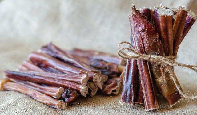 Warum der Ochsenziemer ein beliebter Kausnack für Hunde ist Warum der Ochsenziemer ein beliebter Kausnack für Hunde ist