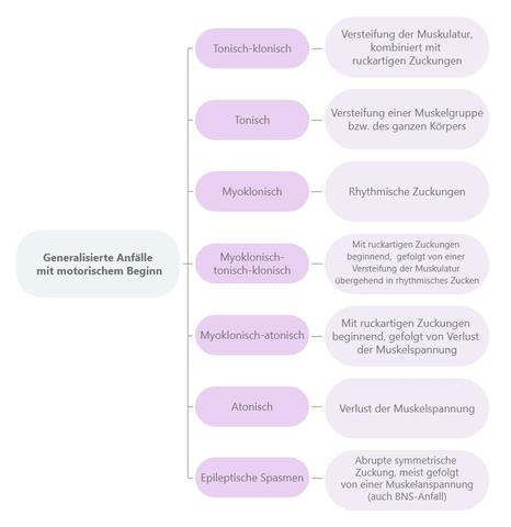 Die verschiedenen Formen von epileptischen Anfällen Die verschiedenen Formen von epileptischen Anfällen