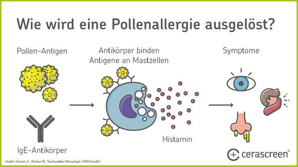 Praktische Maßnahmen gegen Pollenallergien: Wie Sie Beschwerden lindern können Praktische Maßnahmen gegen Pollenallergien: Wie Sie Beschwerden lindern können