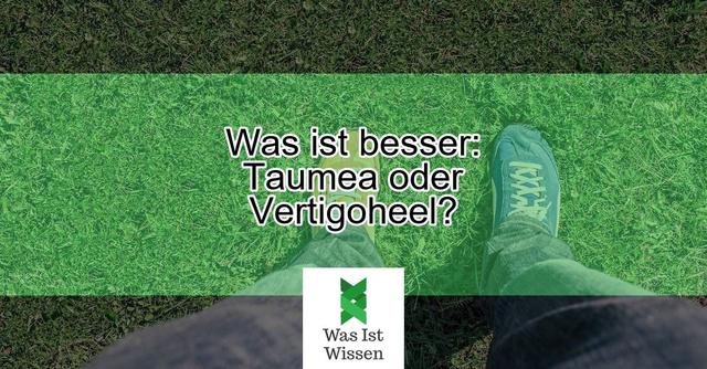 Erfahrungsberichte: Taumea vs. Vertigoheel - Was sagen Nutzer? Erfahrungsberichte: Taumea vs. Vertigoheel - Was sagen Nutzer?