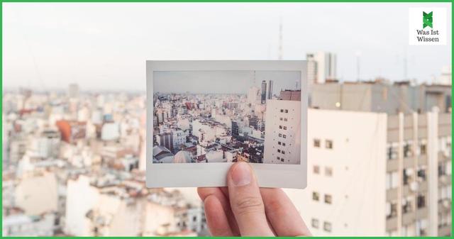 Studien zur Wirksamkeit von Taumea und Vertigoheel Studien zur Wirksamkeit von Taumea und Vertigoheel