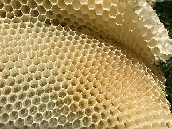 Wie erkennt man bestiftete Zellen im Bienenstock? Wie erkennt man bestiftete Zellen im Bienenstock?