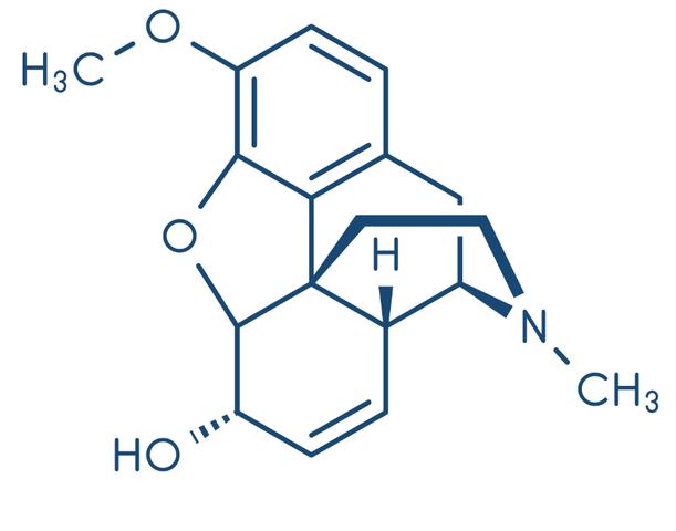 Wechselwirkungen mit anderen Medikamenten bei Codein Wechselwirkungen mit anderen Medikamenten bei Codein