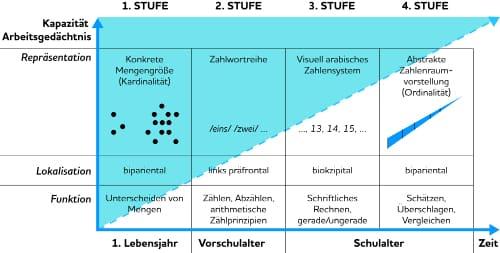 Grundlagen der Dyskalkulie: Schwierigkeiten mit Zahlen und Mengen Grundlagen der Dyskalkulie: Schwierigkeiten mit Zahlen und Mengen