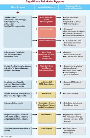 Dyspnoe: Definition, Diagnose und Therapiemöglichkeiten