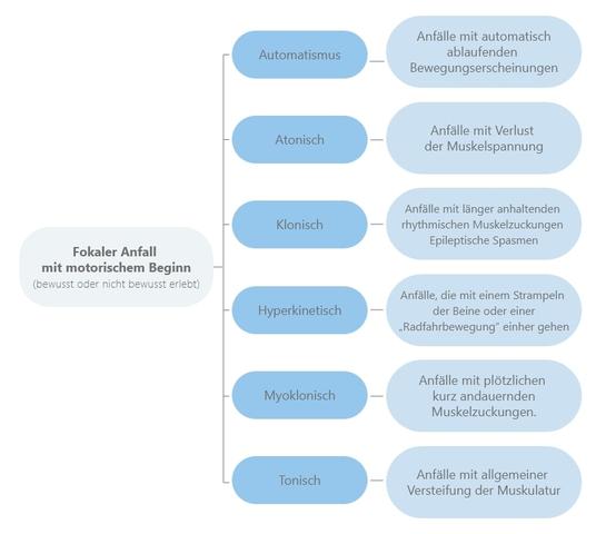 Unterschiedliche Formen von epileptischen Anfällen und ihre Symptome