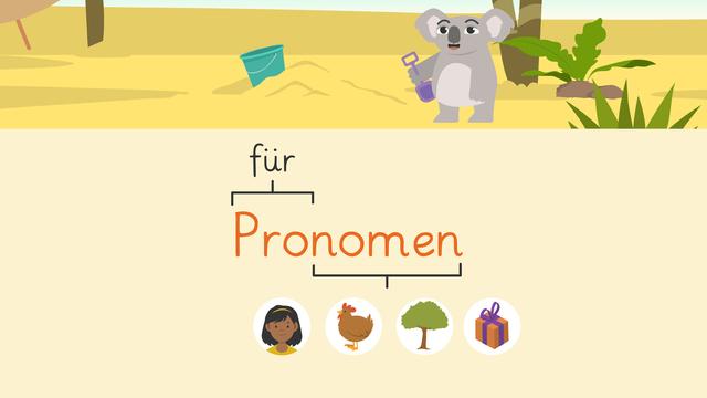 Eine Einführung in die Welt der Fürwörter