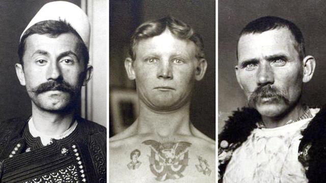 Honk: Eine Definition und seine Verwendung im Internet Honk: Eine Definition und seine Verwendung im Internet