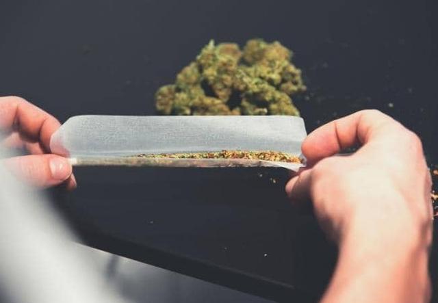 Joint, Spliff oder Blunt? Was ist ein Jibbit und wie wird er geraucht? Joint, Spliff oder Blunt? Was ist ein Jibbit und wie wird er geraucht?