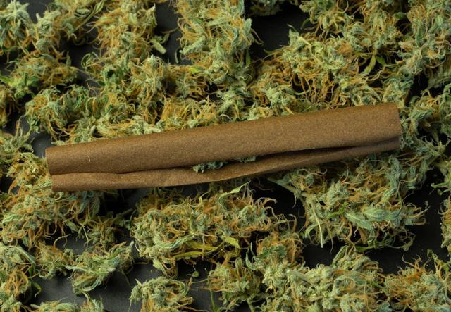 Jibbit: Eine Einführung in die Welt der mit Cannabis gefüllten Papierchen Jibbit: Eine Einführung in die Welt der mit Cannabis gefüllten Papierchen