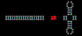 Was ist ein Palindrom? Eine Erklärung und Beispiele