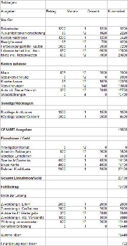 Sabbatjahr im Arbeitsvertrag: Möglichkeiten der finanziellen Absicherung und Realisierung