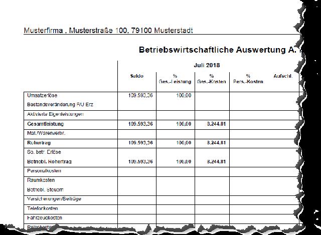 5. Die wichtigsten Aussagen der Spalten im BWA-Muster 5. Die wichtigsten Aussagen der Spalten im BWA-Muster