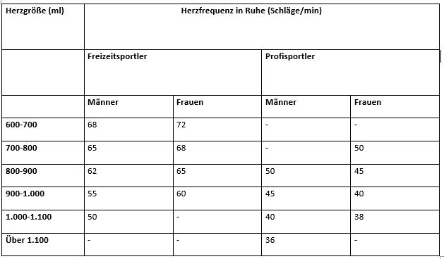 Ruhepuls: Was ist normal und wann sollte man ärztlichen Rat suchen? Ruhepuls: Was ist normal und wann sollte man ärztlichen Rat suchen?