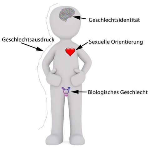 Geschlechtliche Vielfalt: Eine Einführung in den Begriff "Transfrau" Geschlechtliche Vielfalt: Eine Einführung in den Begriff "Transfrau"