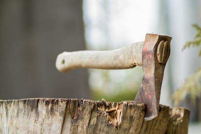 Fitna in der Geschichte: Eine Betrachtung vergangener Ereignisse