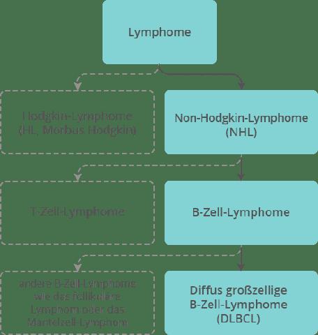 Vergleich von Hodgkin- und Non-Hodgkin-Lymphomen: Welche ist gefährlicher? Vergleich von Hodgkin- und Non-Hodgkin-Lymphomen: Welche ist gefährlicher?