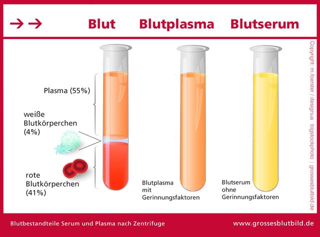 Hämatokrit: Was bedeutet dieser Wert für die Gesundheit? Hämatokrit: Was bedeutet dieser Wert für die Gesundheit?