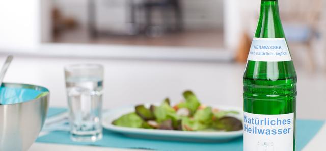 Der Einfluss von Hydrogencarbonat auf den pH-Wert im Körper Der Einfluss von Hydrogencarbonat auf den pH-Wert im Körper