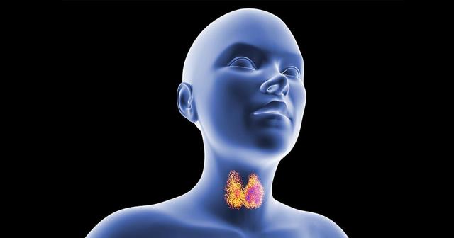 Wichtige Informationen nach einer Szintigrafie