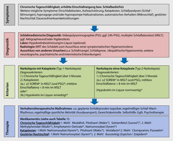 3. Narkolepsie: Diagnose und Behandlungsmöglichkeiten im Überblick 3. Narkolepsie: Diagnose und Behandlungsmöglichkeiten im Überblick