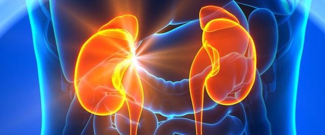 Interdisziplinäre Zusammenarbeit in der Nephrologie Interdisziplinäre Zusammenarbeit in der Nephrologie