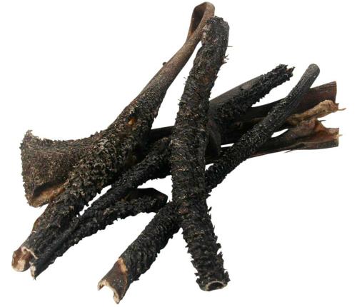 Warum Pansen eine beliebte Leckerei für Hunde ist Warum Pansen eine beliebte Leckerei für Hunde ist