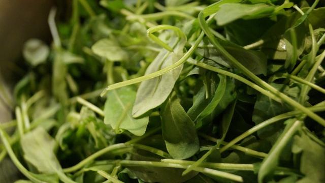 Frisch und vielseitig: Zubereitungsmöglichkeiten für Rucola Frisch und vielseitig: Zubereitungsmöglichkeiten für Rucola