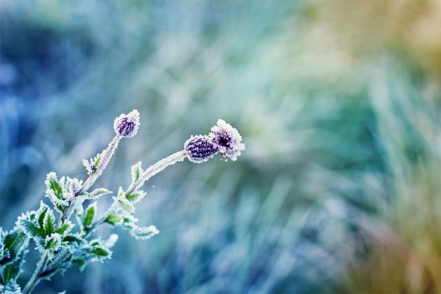 Alles, was Sie über die Eisheiligen wissen müssen Alles, was Sie über die Eisheiligen wissen müssen