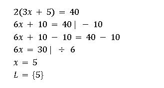 Schritt-für-Schritt-Anleitung zur Lösung von Gleichungen Schritt-für-Schritt-Anleitung zur Lösung von Gleichungen