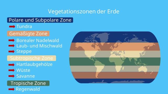 Eine Einführung in die verschiedenen Vegetationszonen der Erde Eine Einführung in die verschiedenen Vegetationszonen der Erde